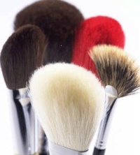 makeupbrushes_brushsets.jpg