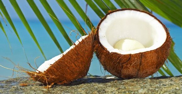Olio di cocco: come usarlo su viso, corpo e capelli