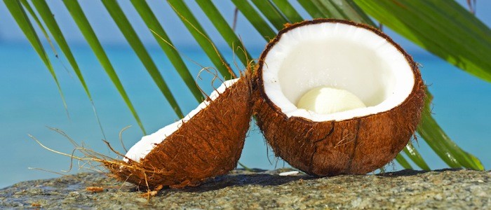 Olio di cocco: come usarlo su viso, corpo e capelli